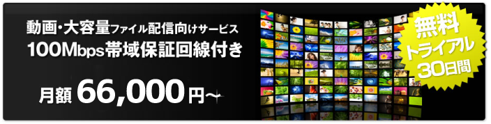 動画・大容量向けサービス無料トライアル30日間